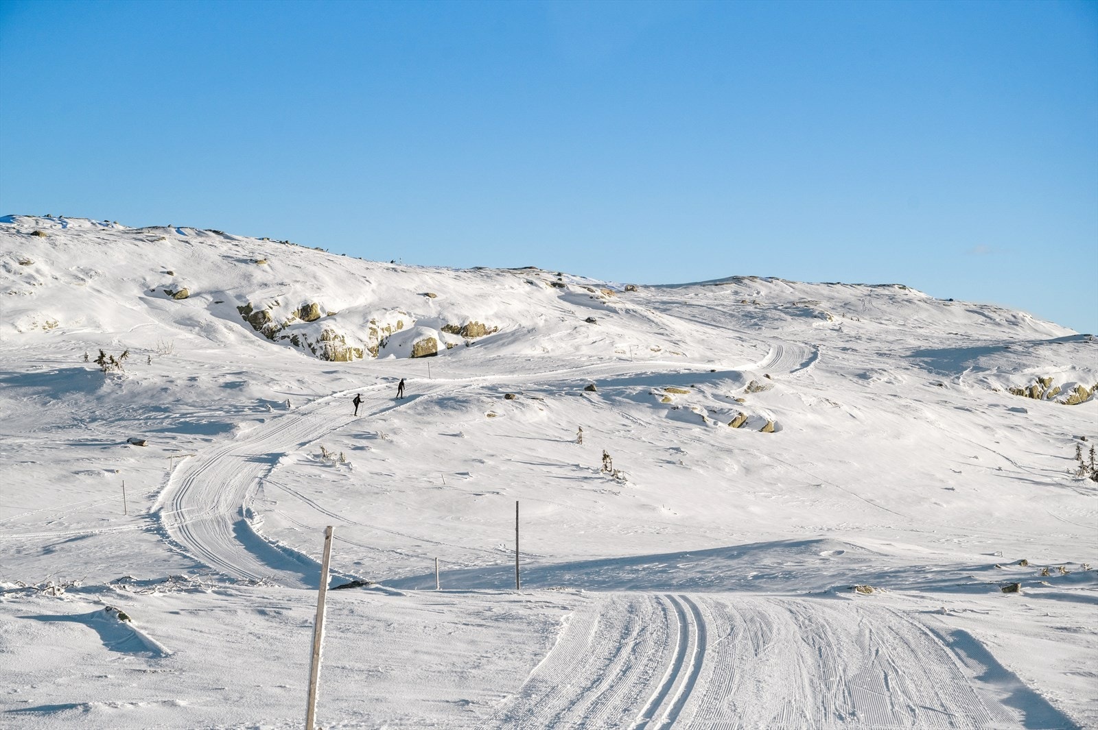 Skiløyper i flott naturterreng Galleribilde