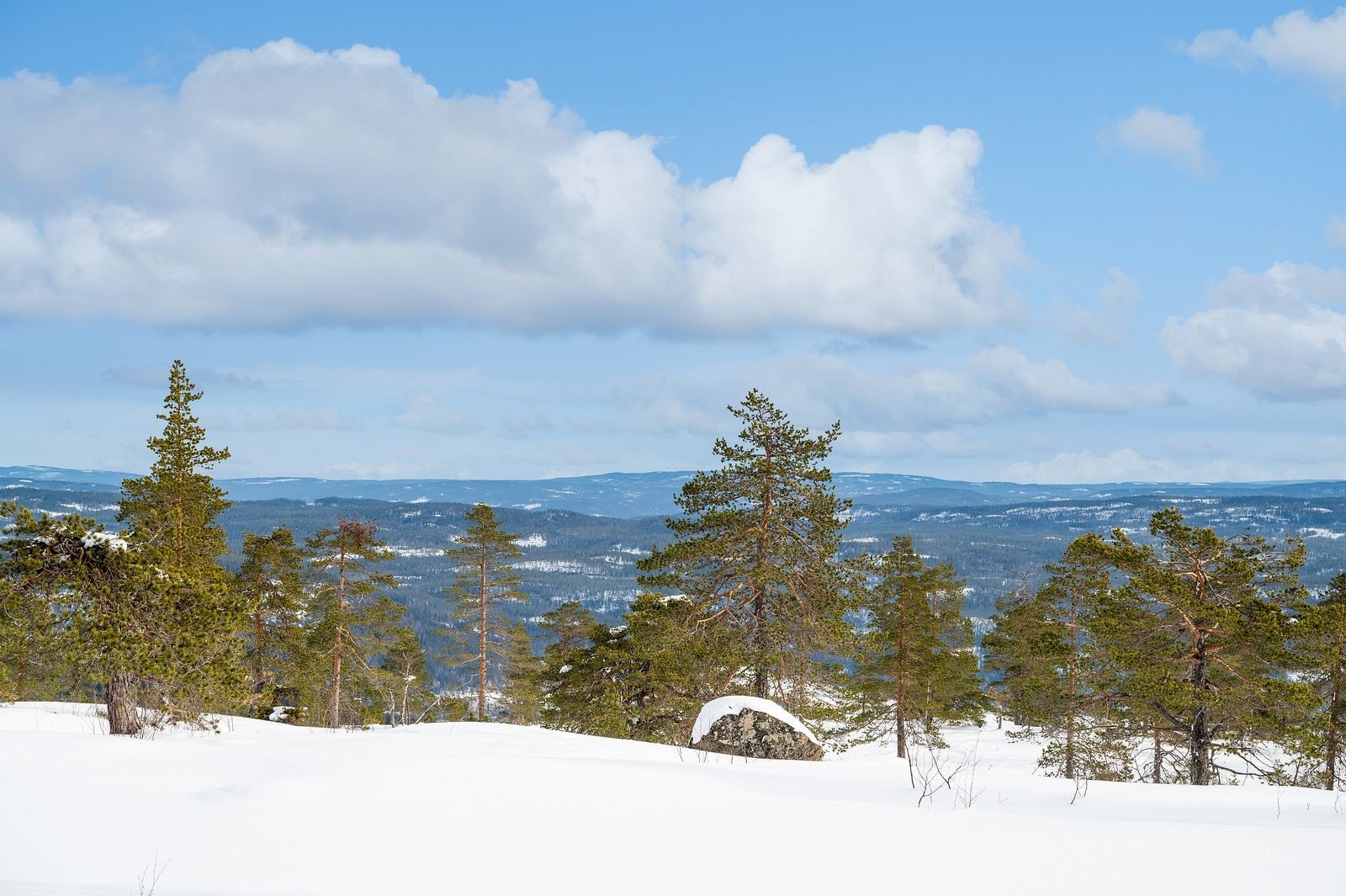 4_flere_bilder_4.jpg Galleribilde