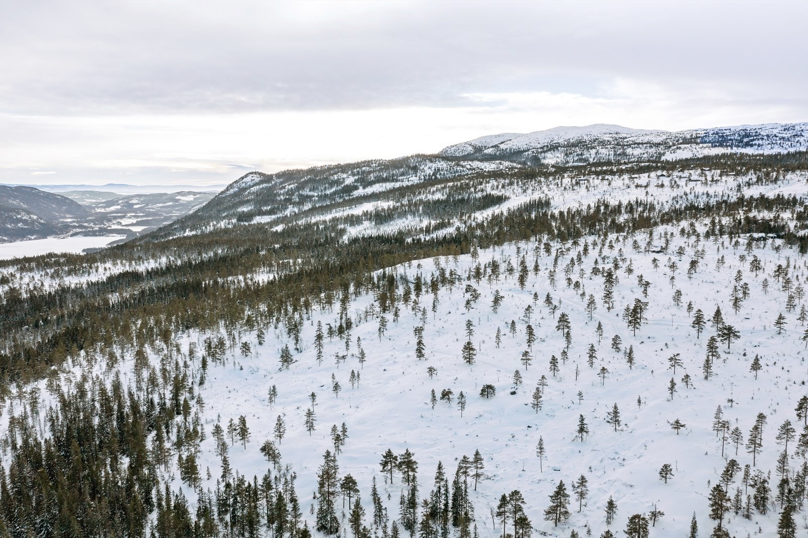 Svært flott utsikt mot Øst, der man ser Sperillen, både omkringliggende og fjerntliggende fjelltopper så langt øye kan se. Galleribilde