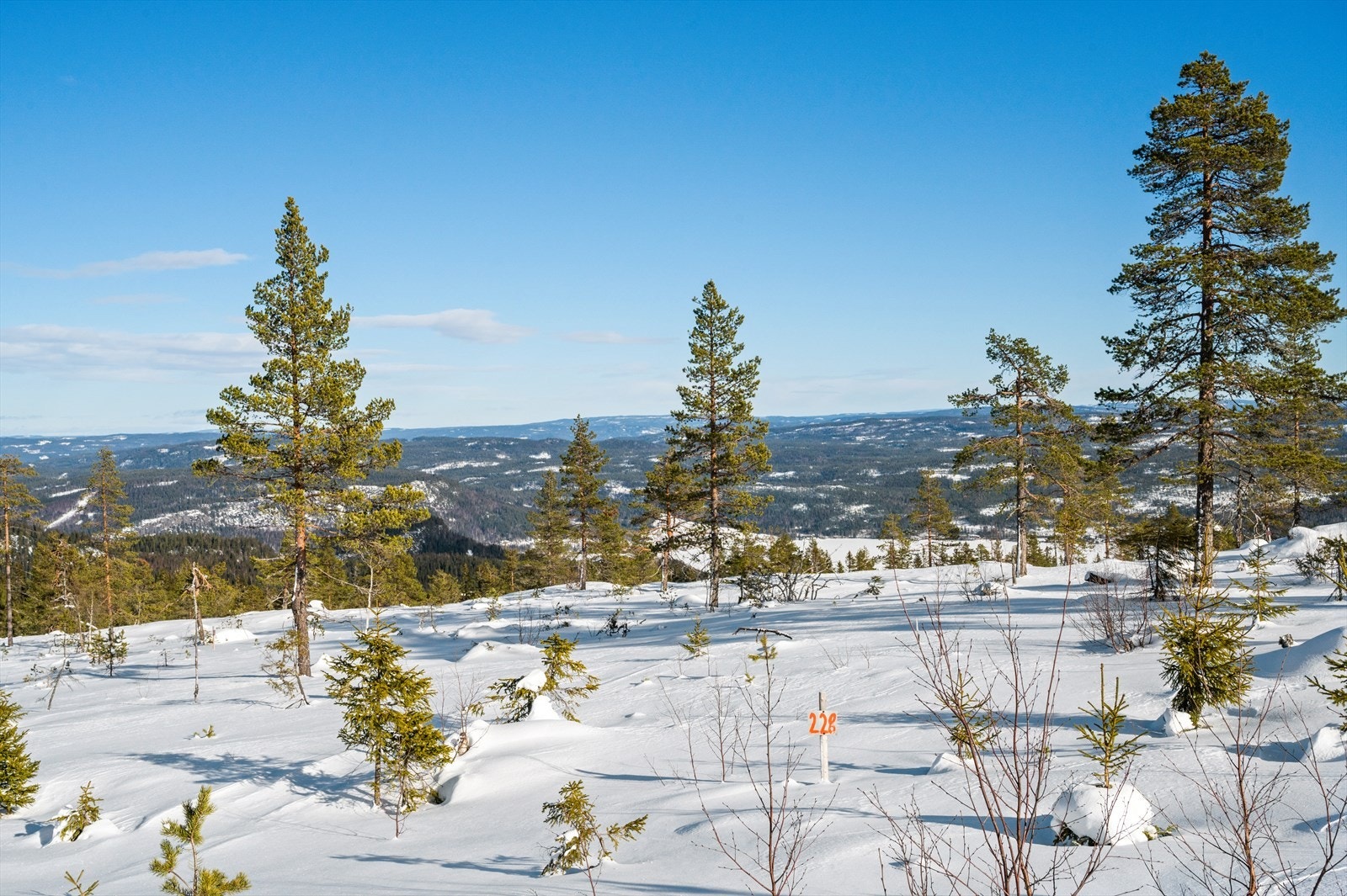 Tomt nr. 228 Galleribilde