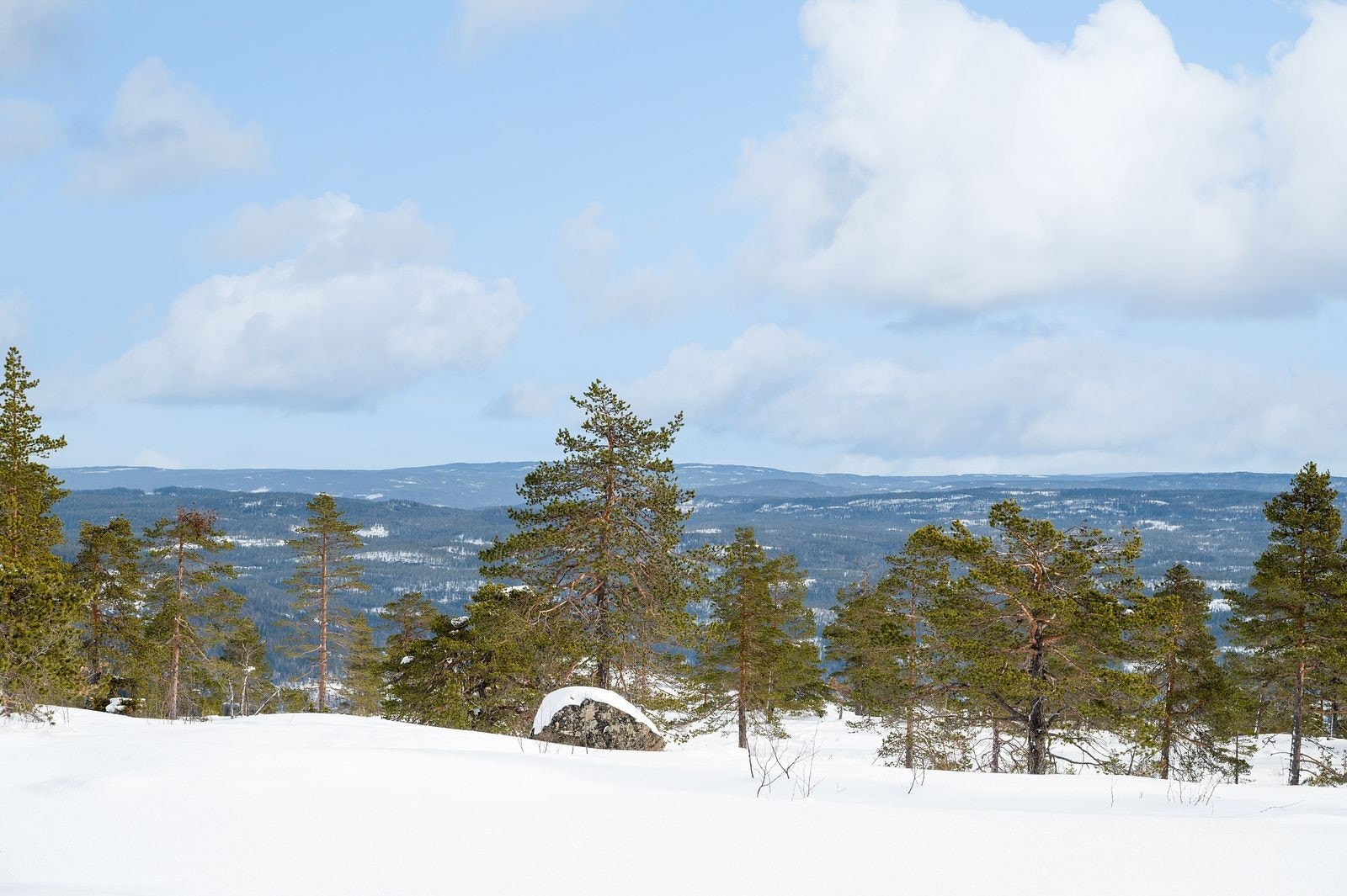 6_flere_bilder_6.jpg Galleribilde