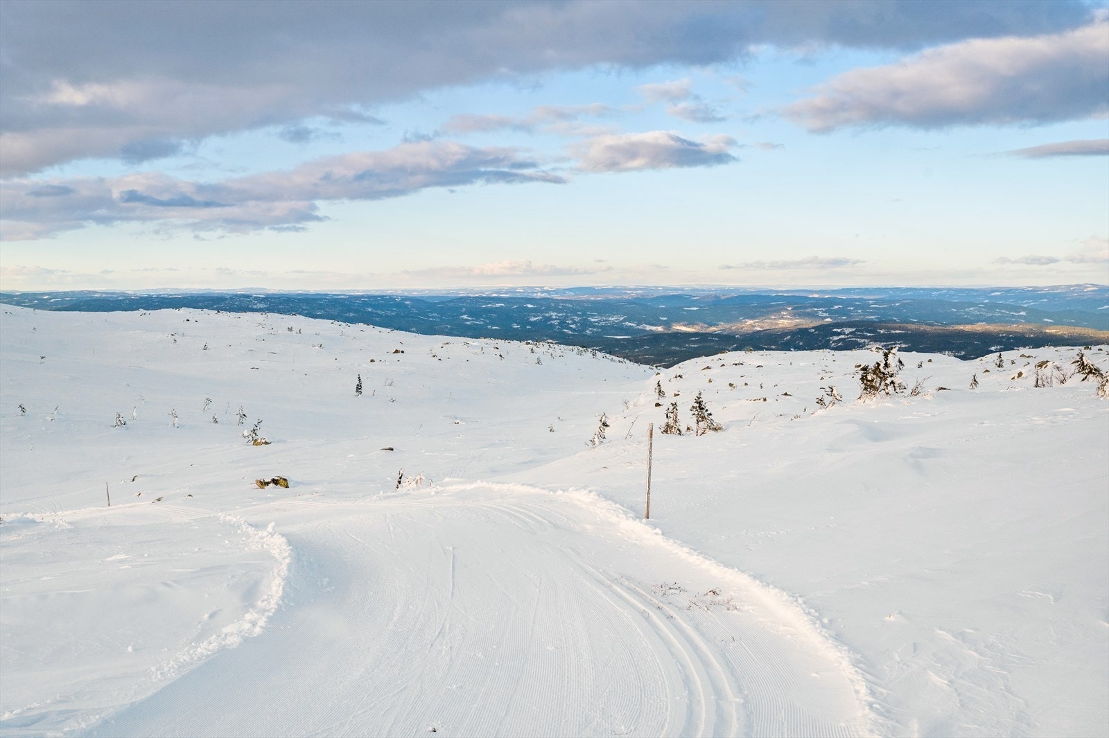 Flere_bilder Galleribilde