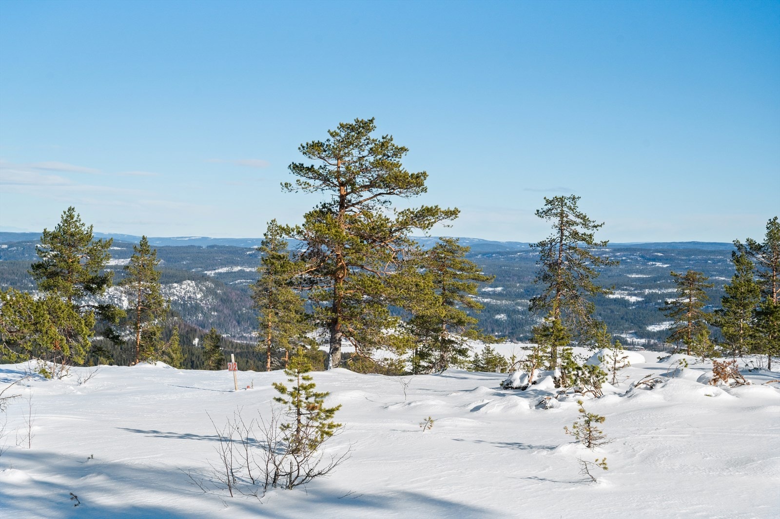 Tomt nr. 212 Galleribilde