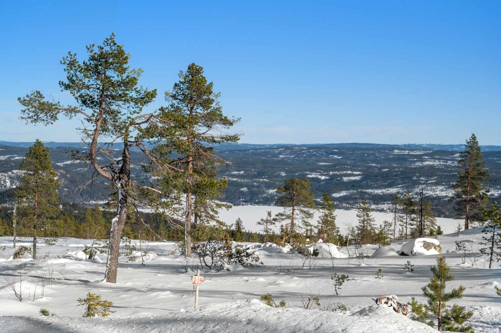 Tomt nr. 215 Galleribilde