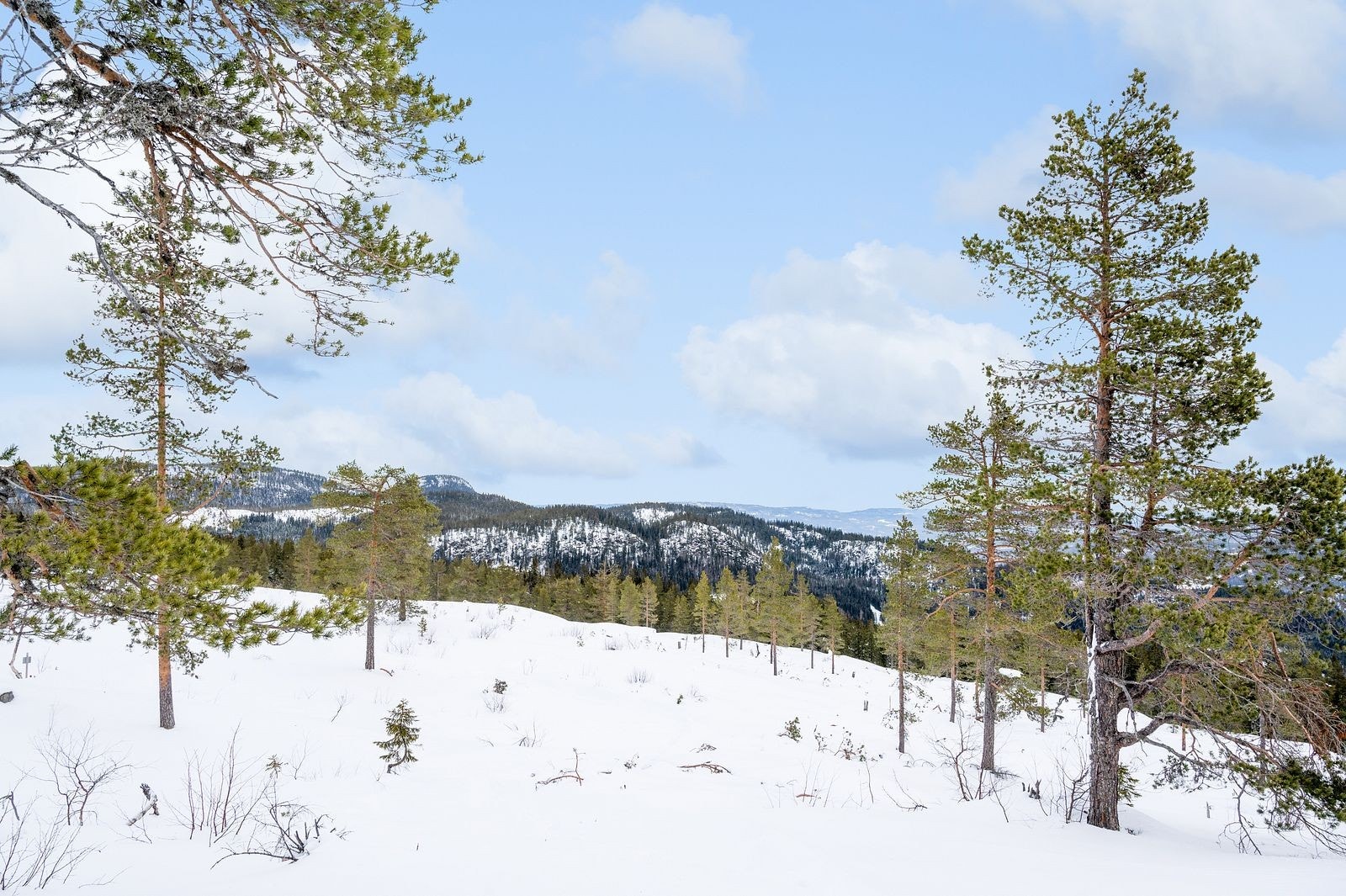 7_flere_bilder_7.jpg Galleribilde