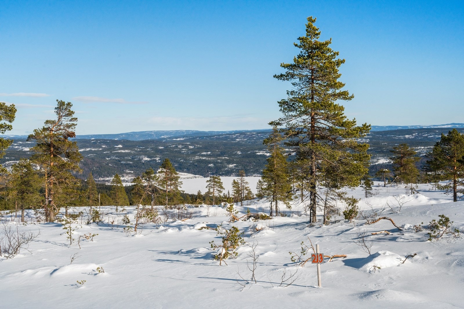 Som man ser vil det være flere av tomtene som får utsikt til de syv blåner! Galleribilde