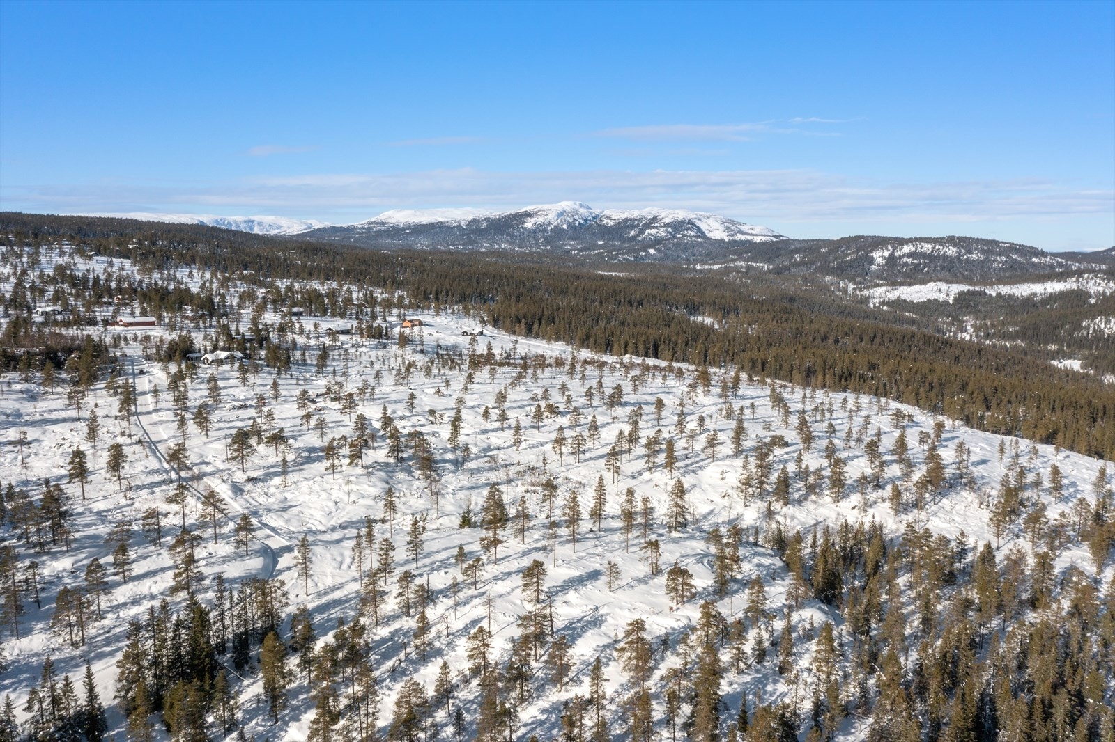 Flere_bilder Galleribilde