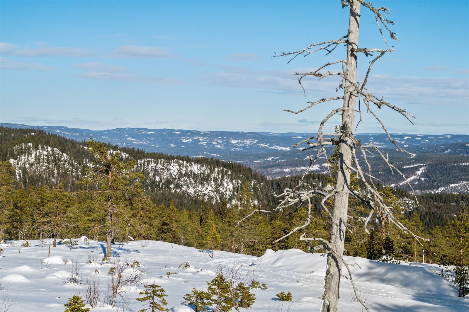 Flere_bilder Galleribilde