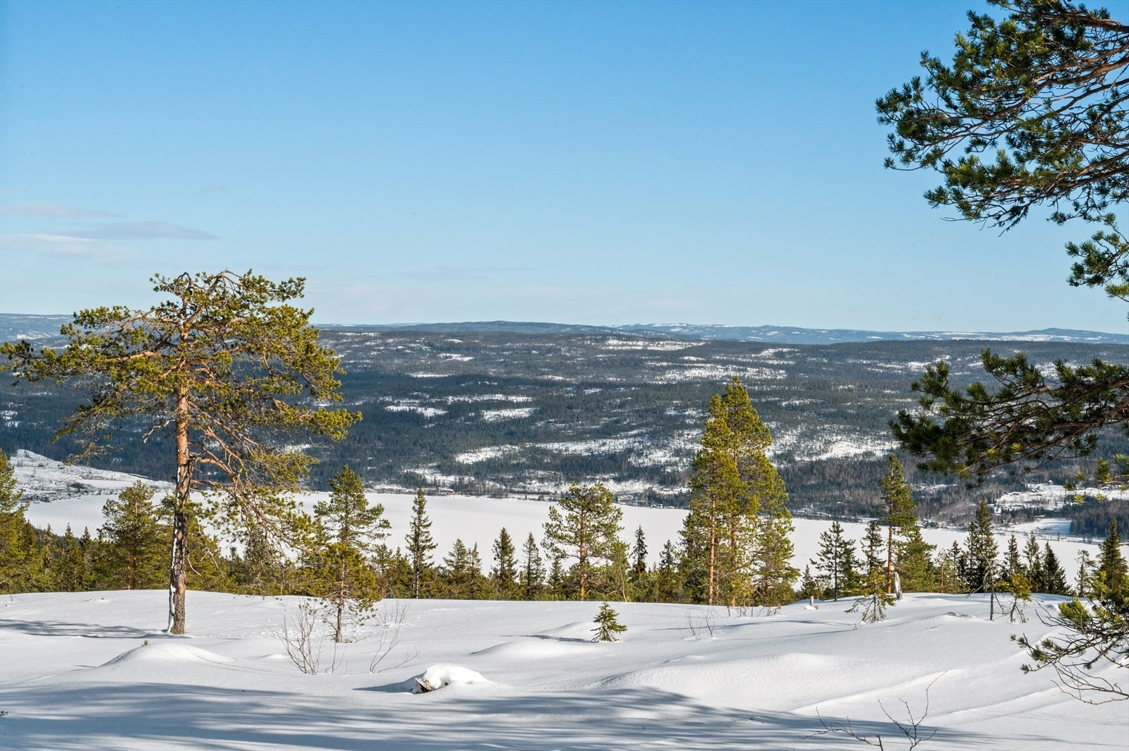 Flere_bilder Galleribilde