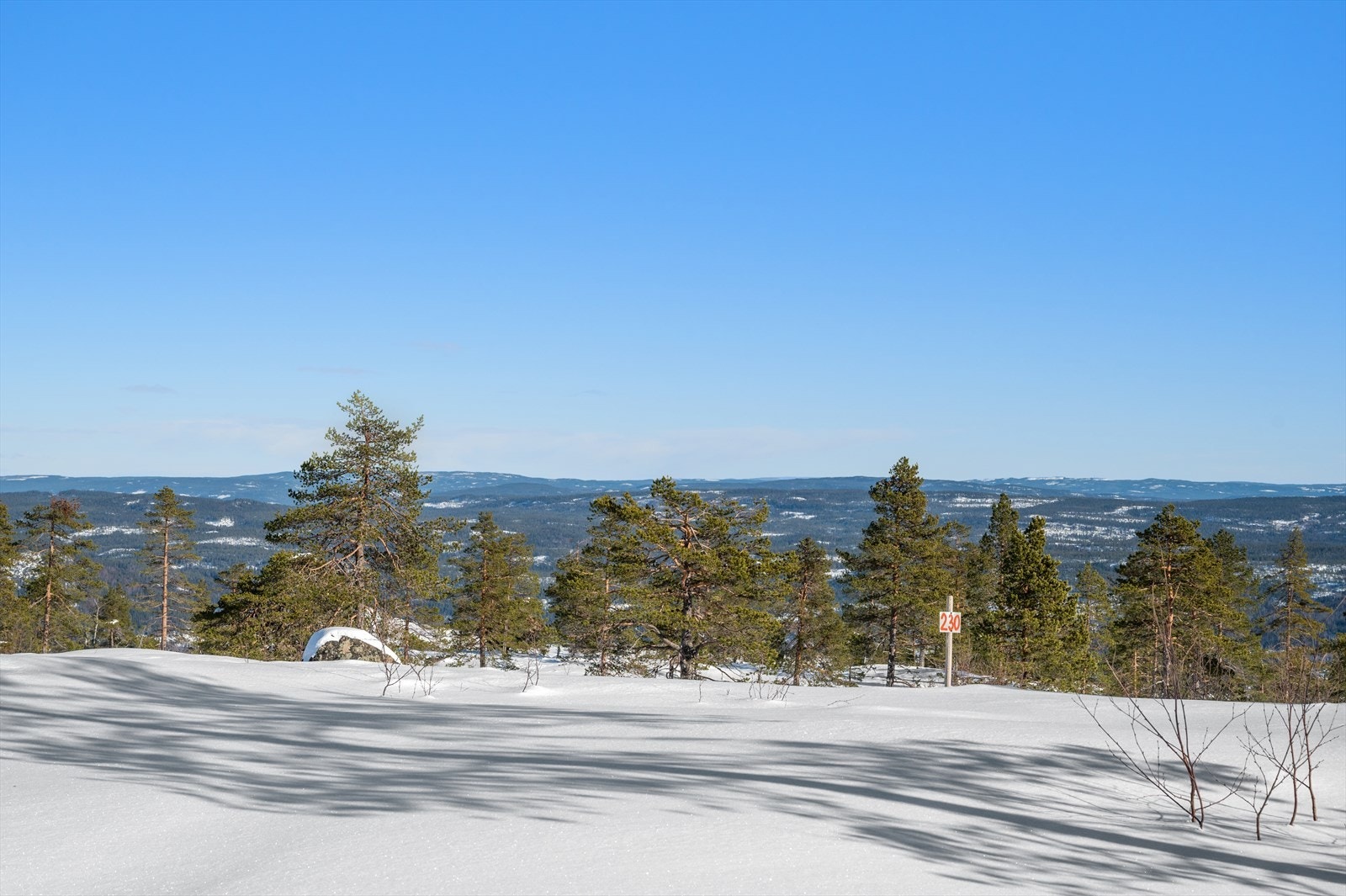 Tomt nr. 230 Galleribilde