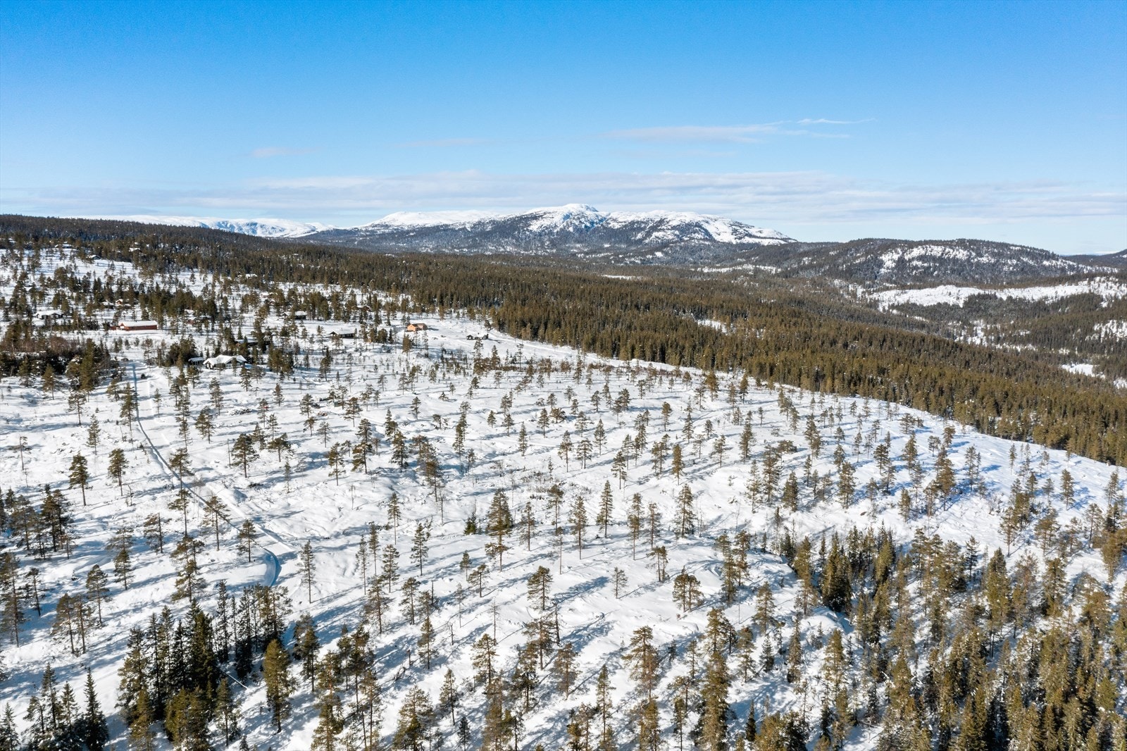 Flere_bilder Galleribilde