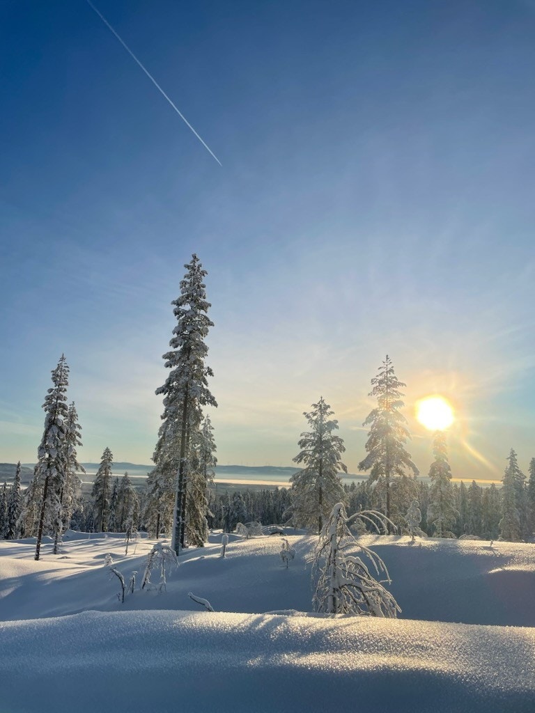 Utsikt fra tomt 60. Galleribilde