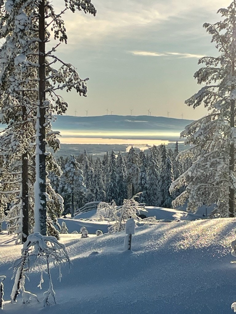 Utsikt fra litt nedenfor i hyttefeltet. Galleribilde