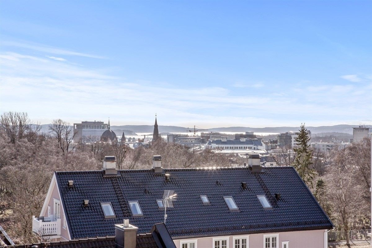 Praktfull utsikt mot Oslofjorden Galleribilde