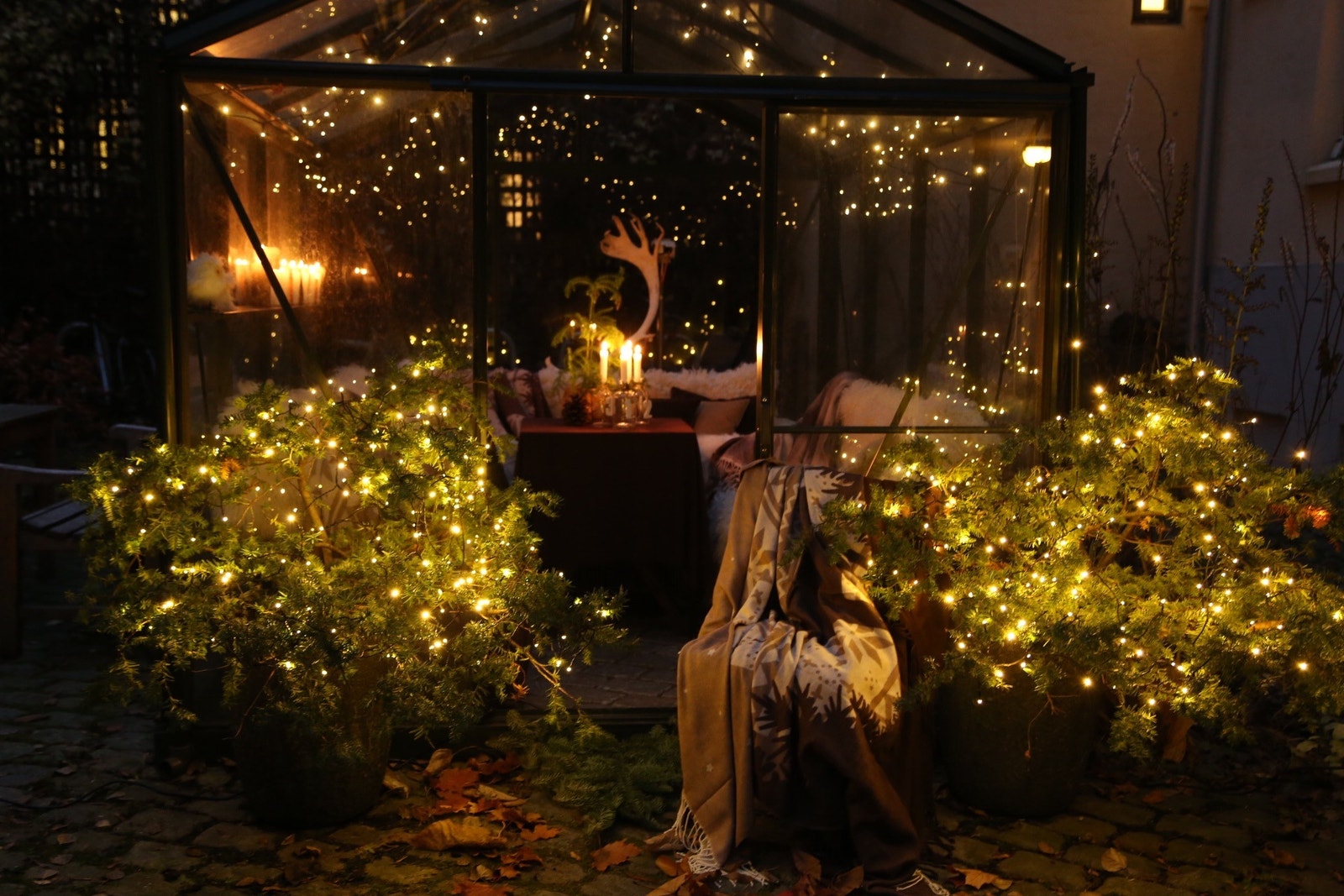 Driv hus i bakgården
Greenhouse in the back yard Galleribilde