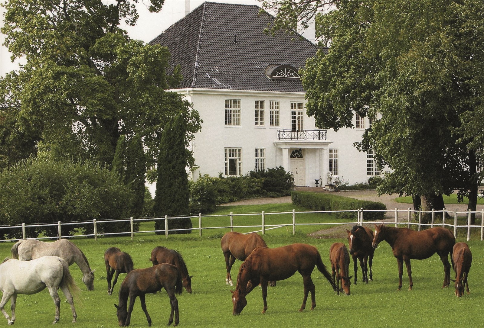 Eiendommen har blant annet et stort hesteanlegg, 18-hulls golfbane, 4 tennisbaner og skog med jakt av rådyr m.m. Galleribilde