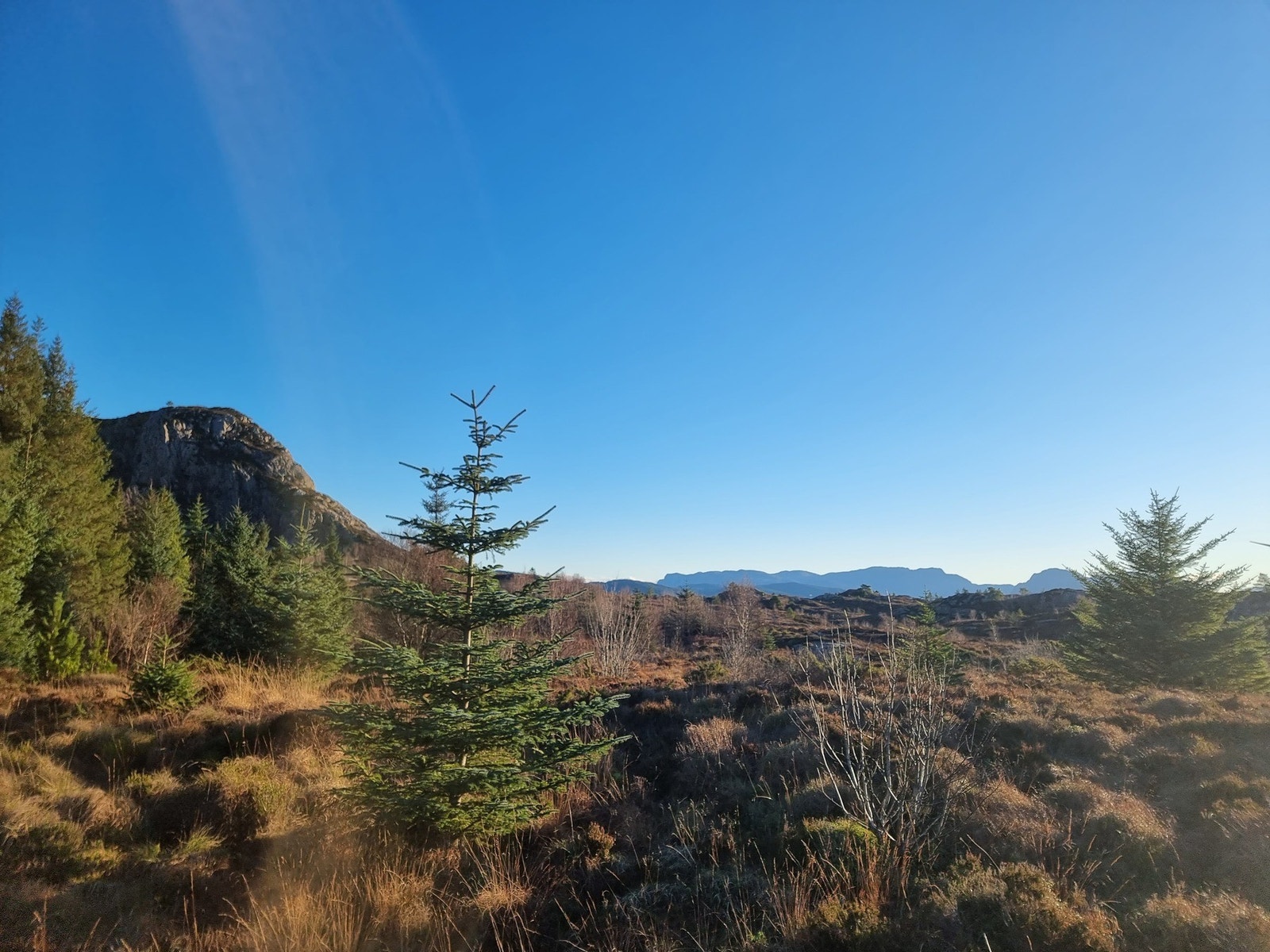 Utsikt fra hyttefeltet tatt mot sør-øst. Galleribilde