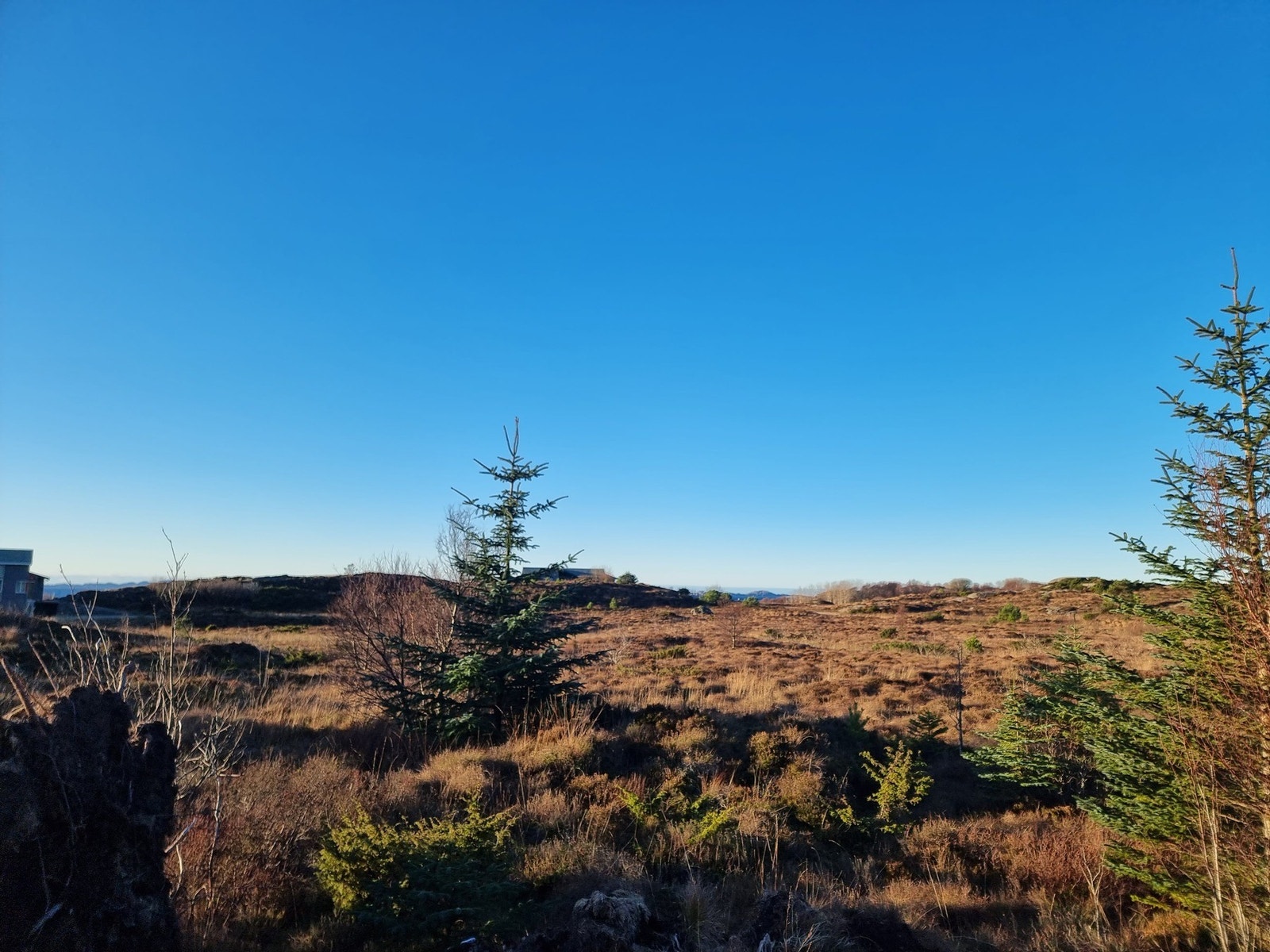 Utsikt fra hyttefeltet tatt mot sør-vest. Galleribilde