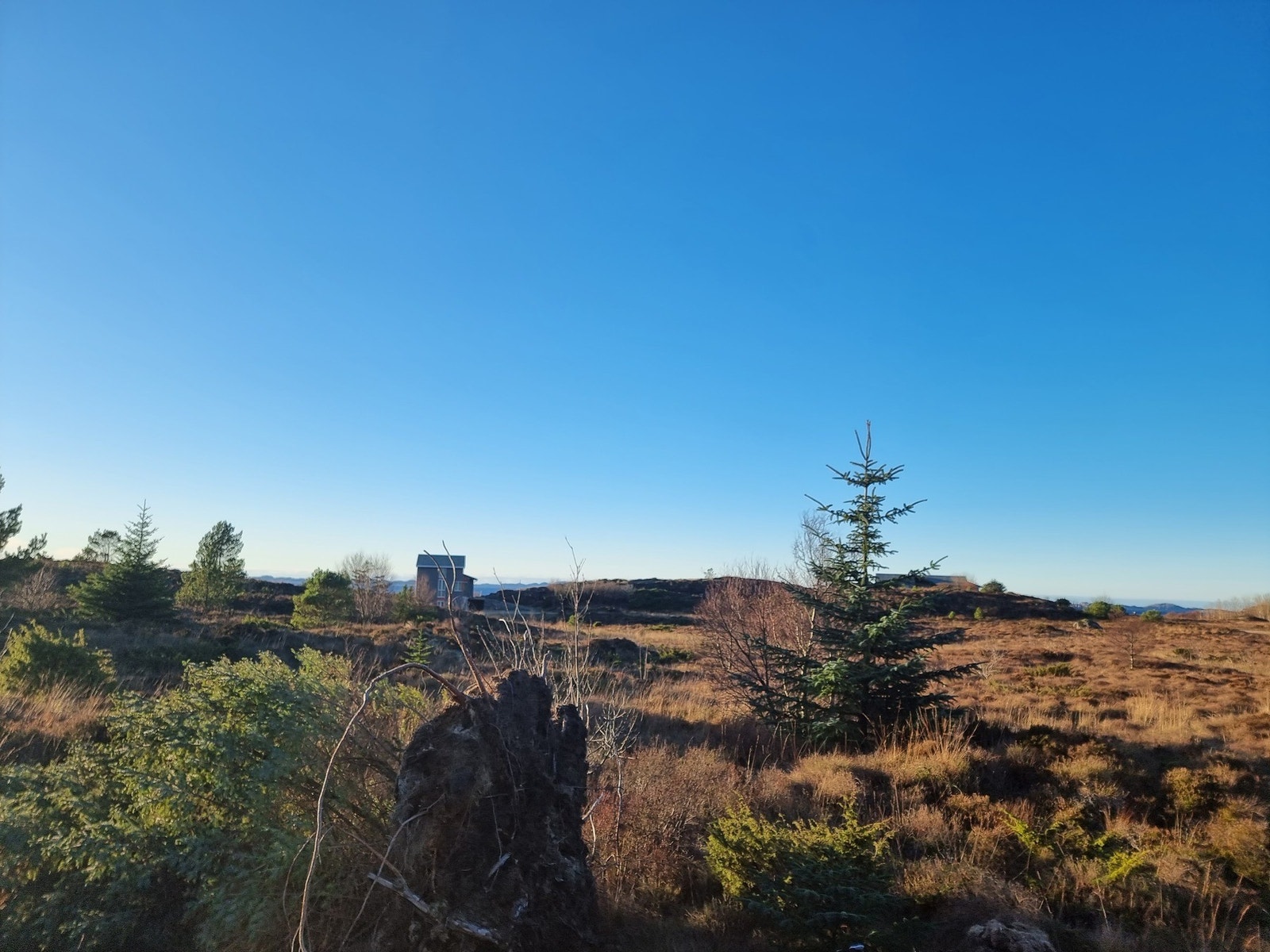 Utsikt fra hyttefeltet tatt mot sør-vest. Galleribilde