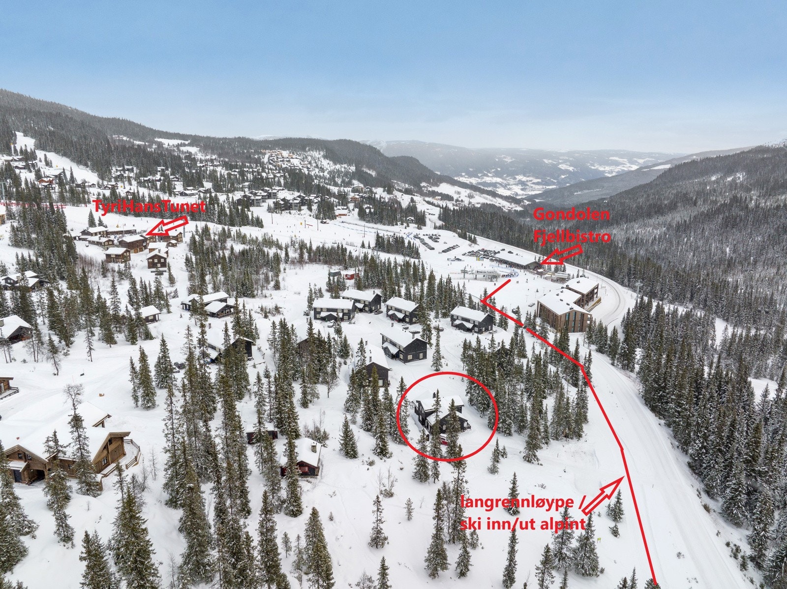 10137565_1-a Galleribilde