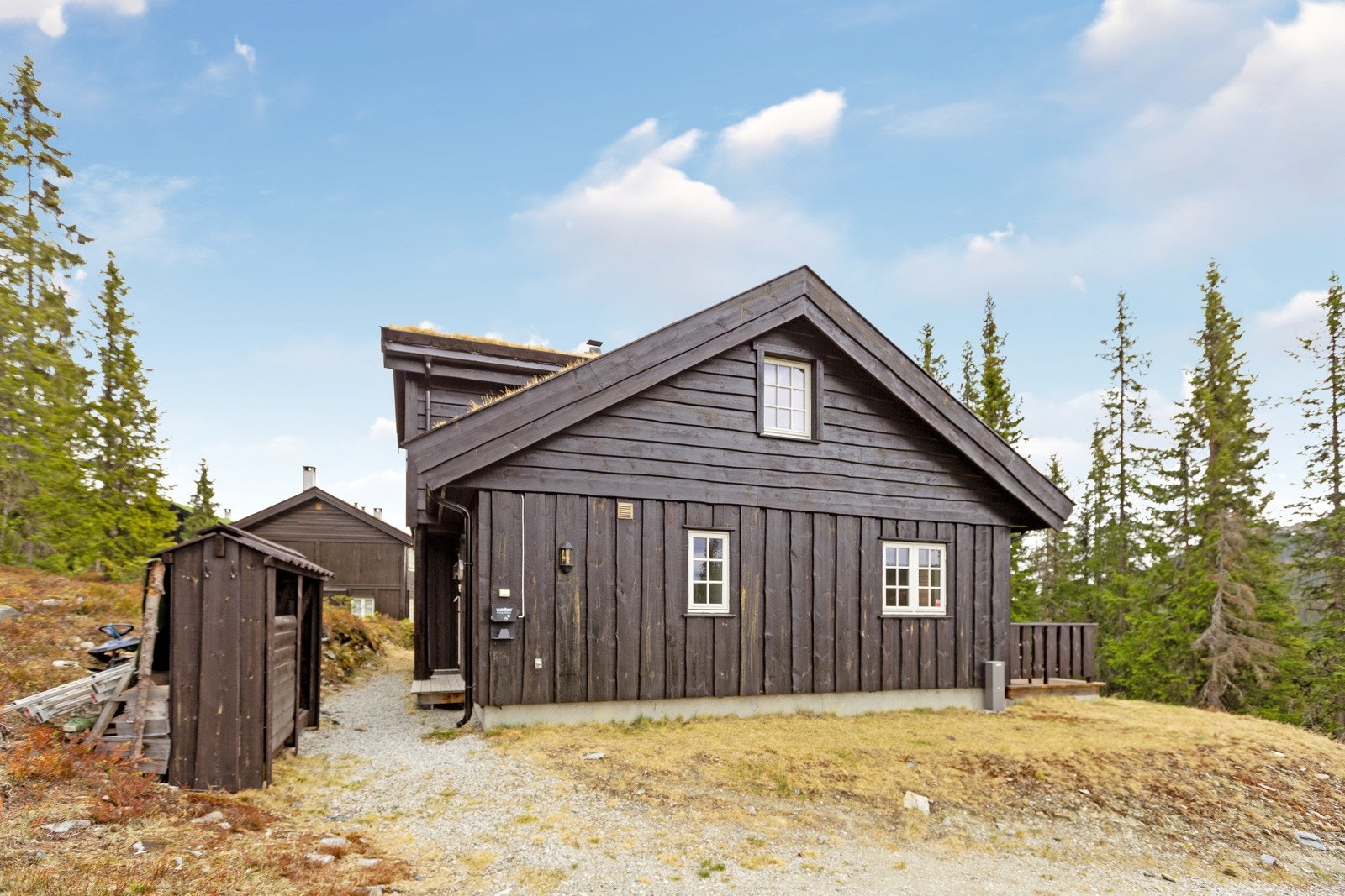 Gruset innkjøring. Galleribilde