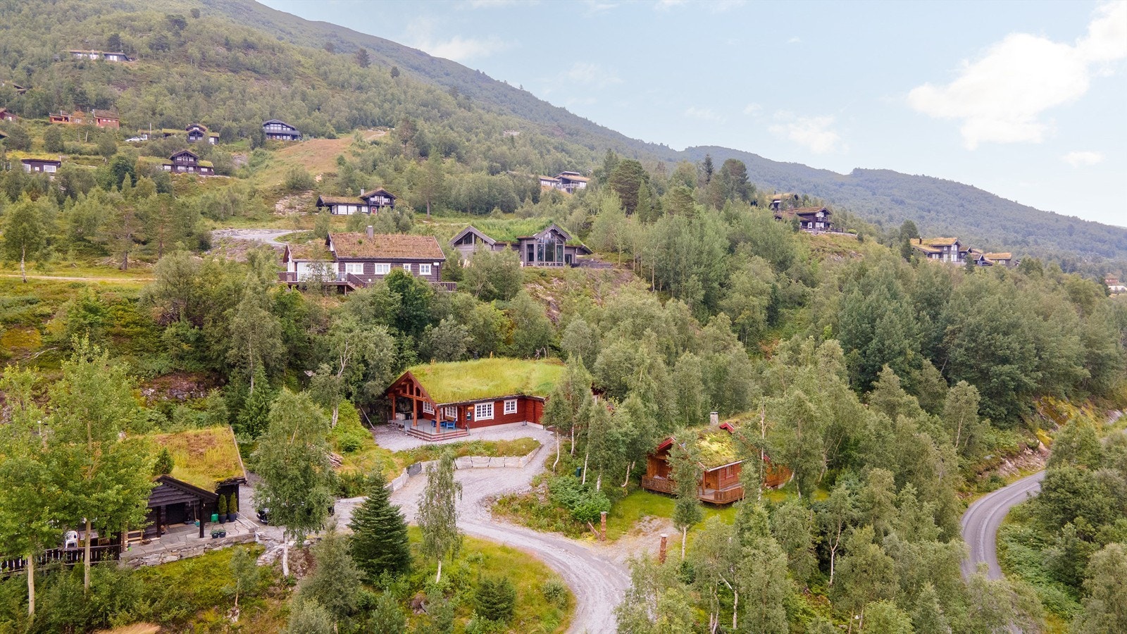 Bortebu Galleribilde
