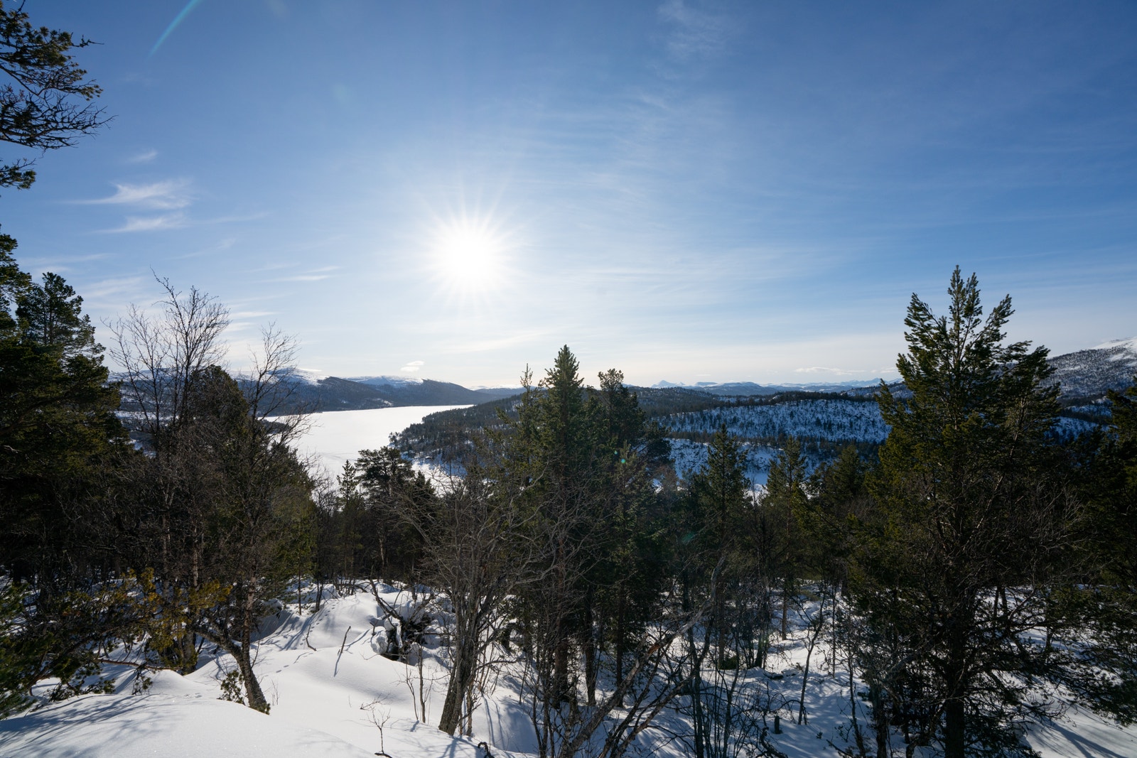 Flott utsikt over Savalsjøen Galleribilde