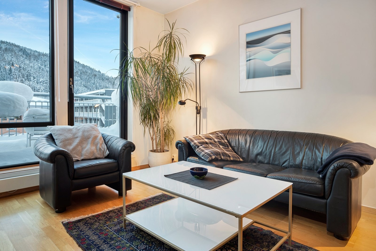 Fra stuen går du rett ut på balkongen Galleribilde