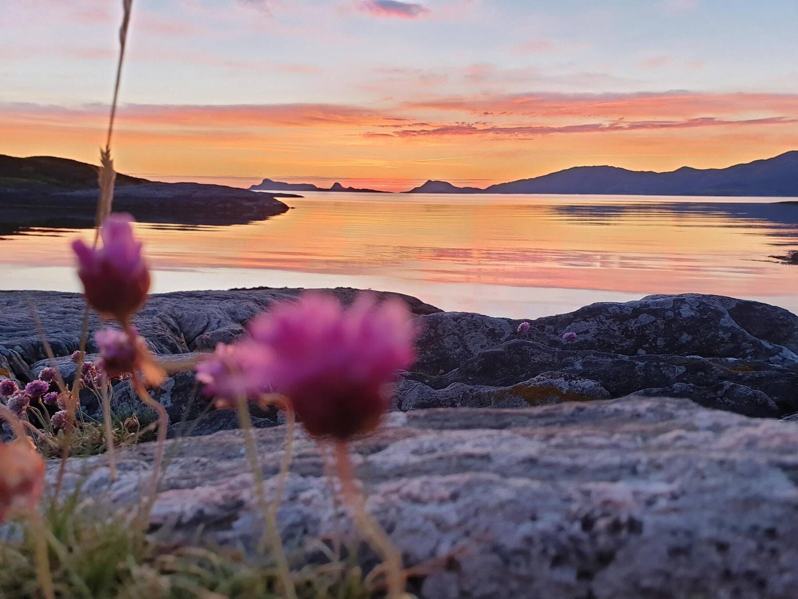 Lammetun er ei landfast øy. Omkranset av svaberg, her er et rikt plante og dyreliv. Galleribilde