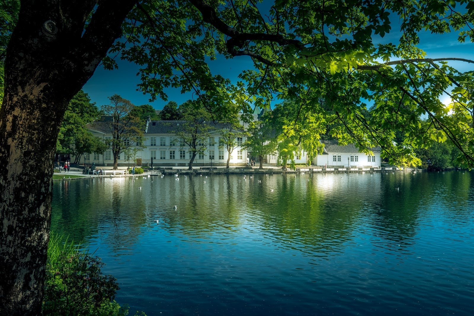 Galleribilde
