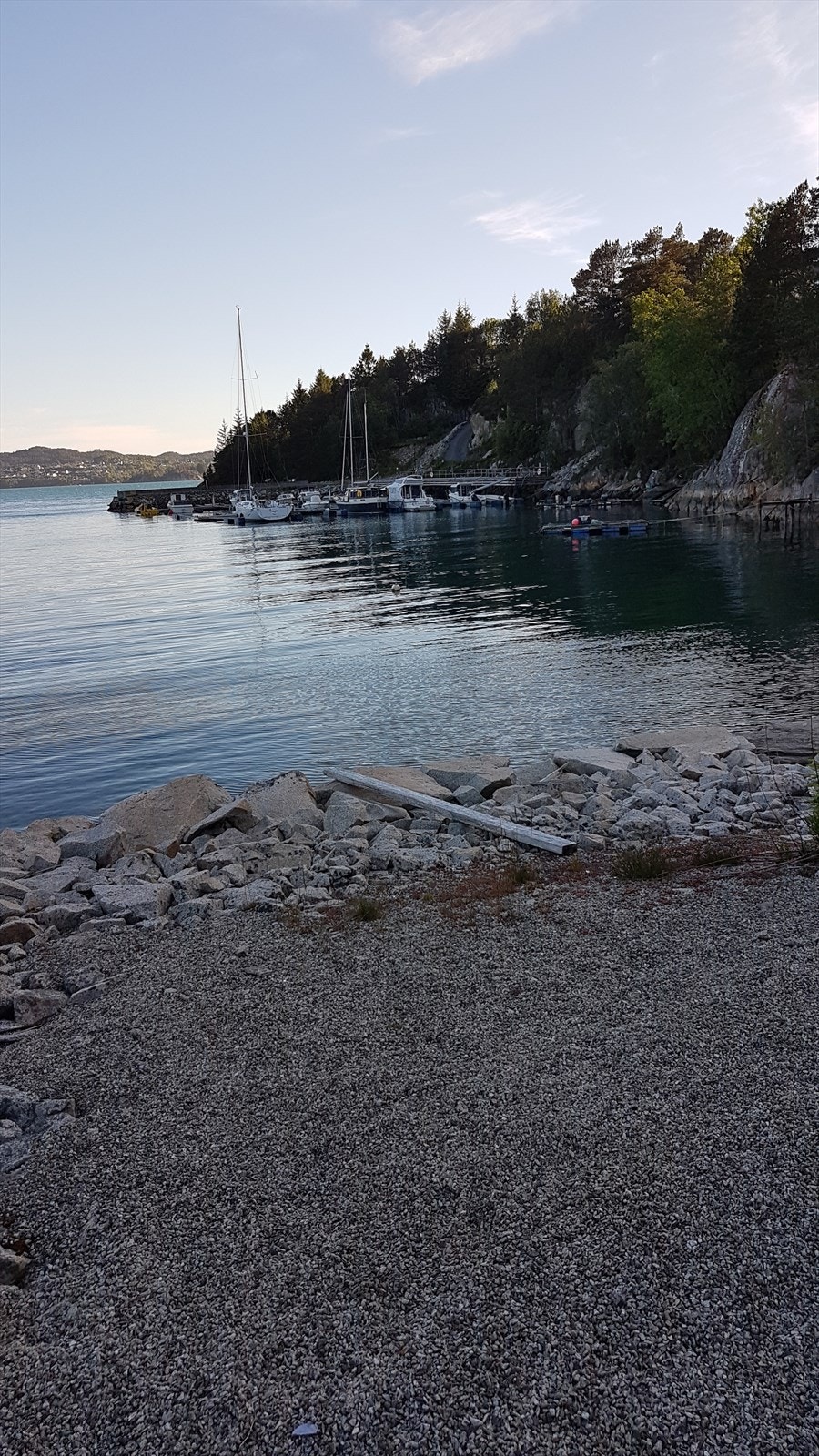 ved nausttomt Galleribilde