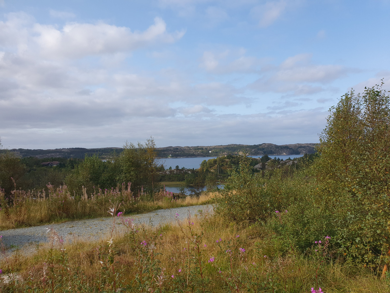 Utsikt Rolfsnes