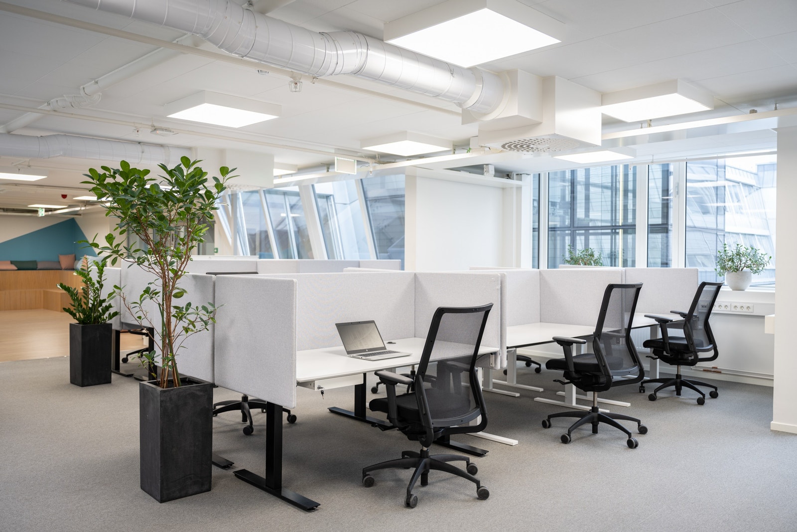 Lokalene Galleribilde