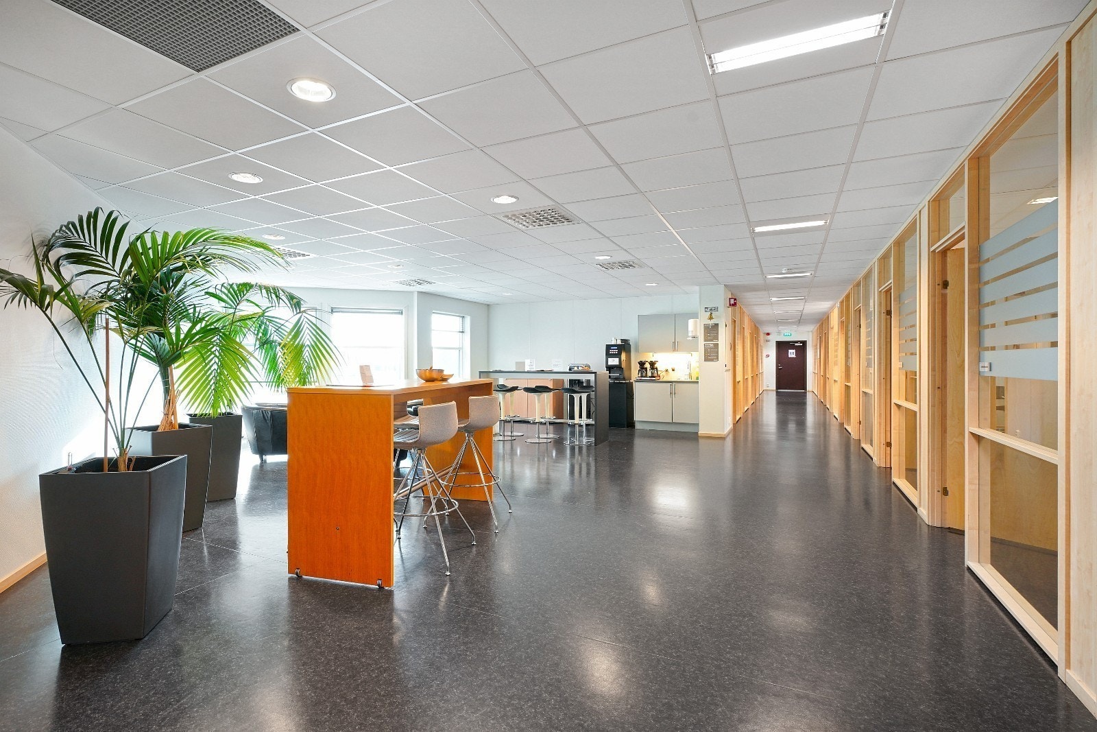 14.jpg Galleribilde