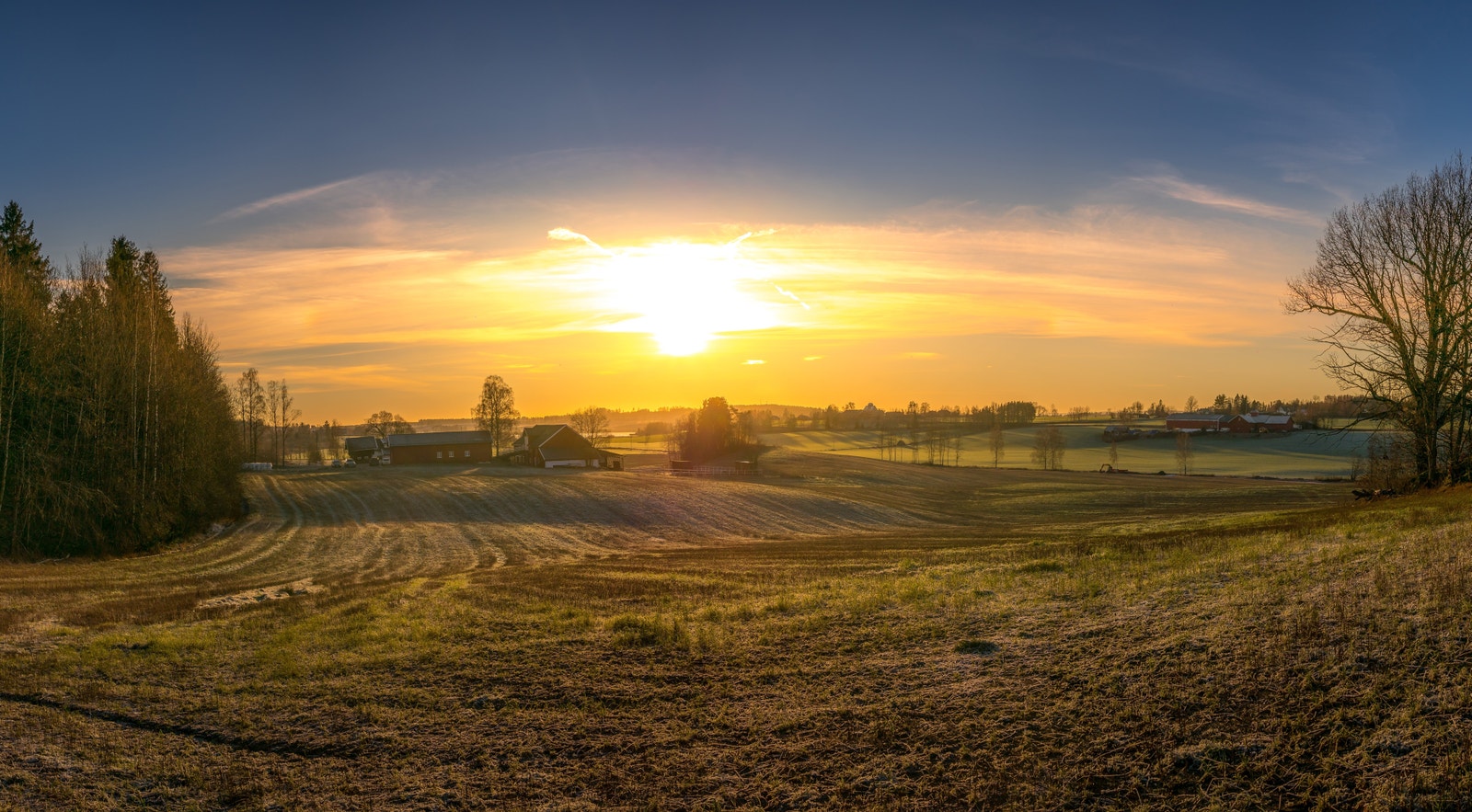 Velkommen til Eikelijordet Galleribilde