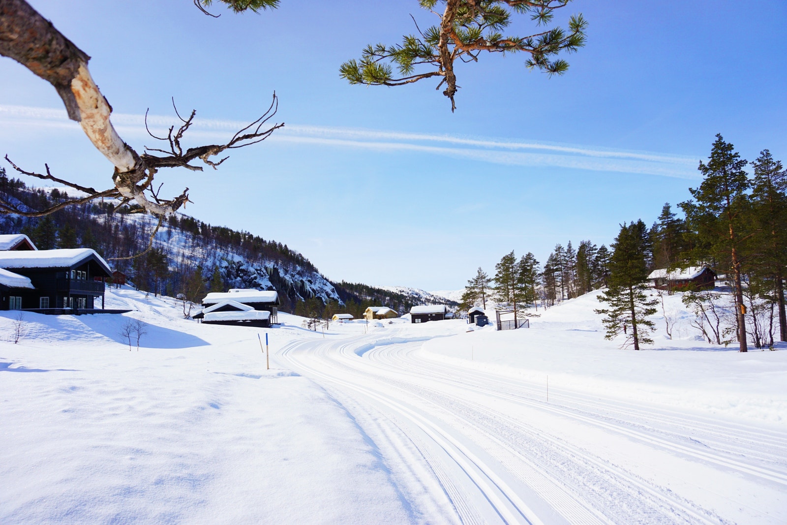Områdebilde med skiløype gjennom feltet Galleribilde