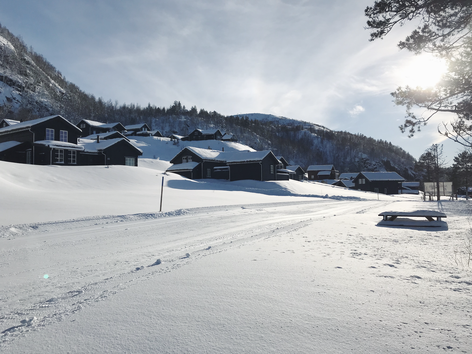 Skiløype gjennom feltet Galleribilde