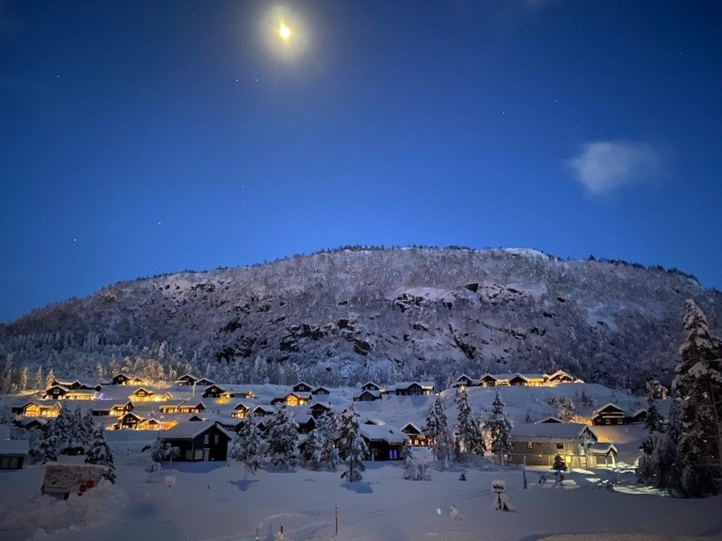 Kveldsbilde Galleribilde