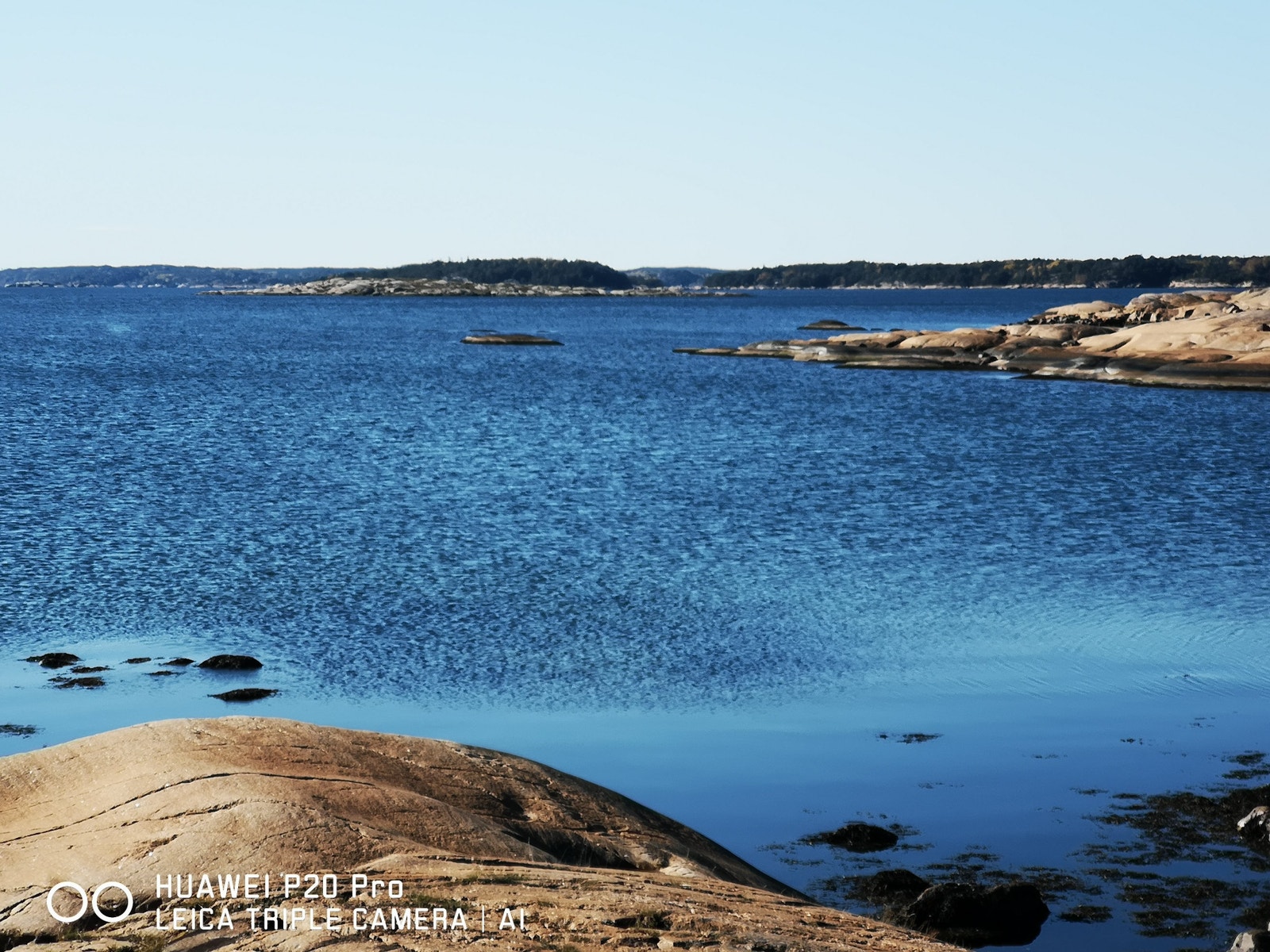 Mot Singløya Galleribilde