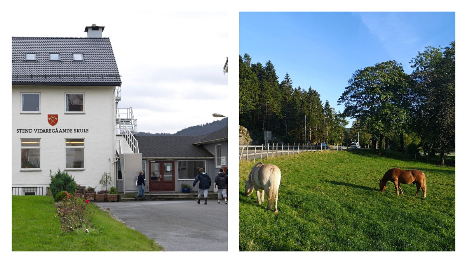 Stend vgs. Galleribilde