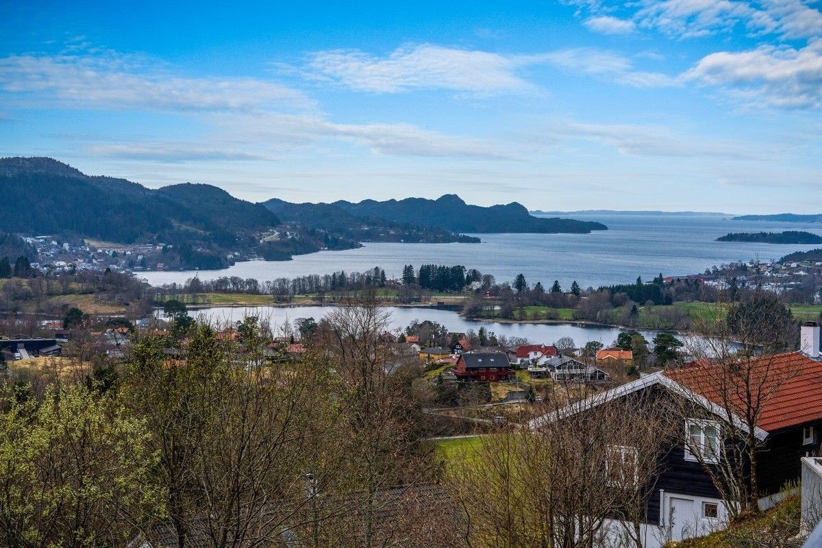 Egen inngang Galleribilde