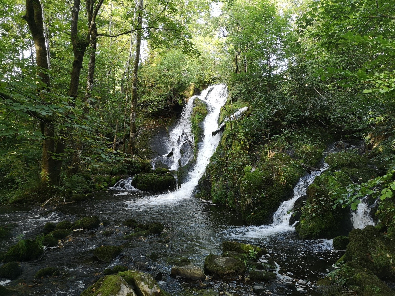 Fanaelven i Fana Kulturpark Galleribilde