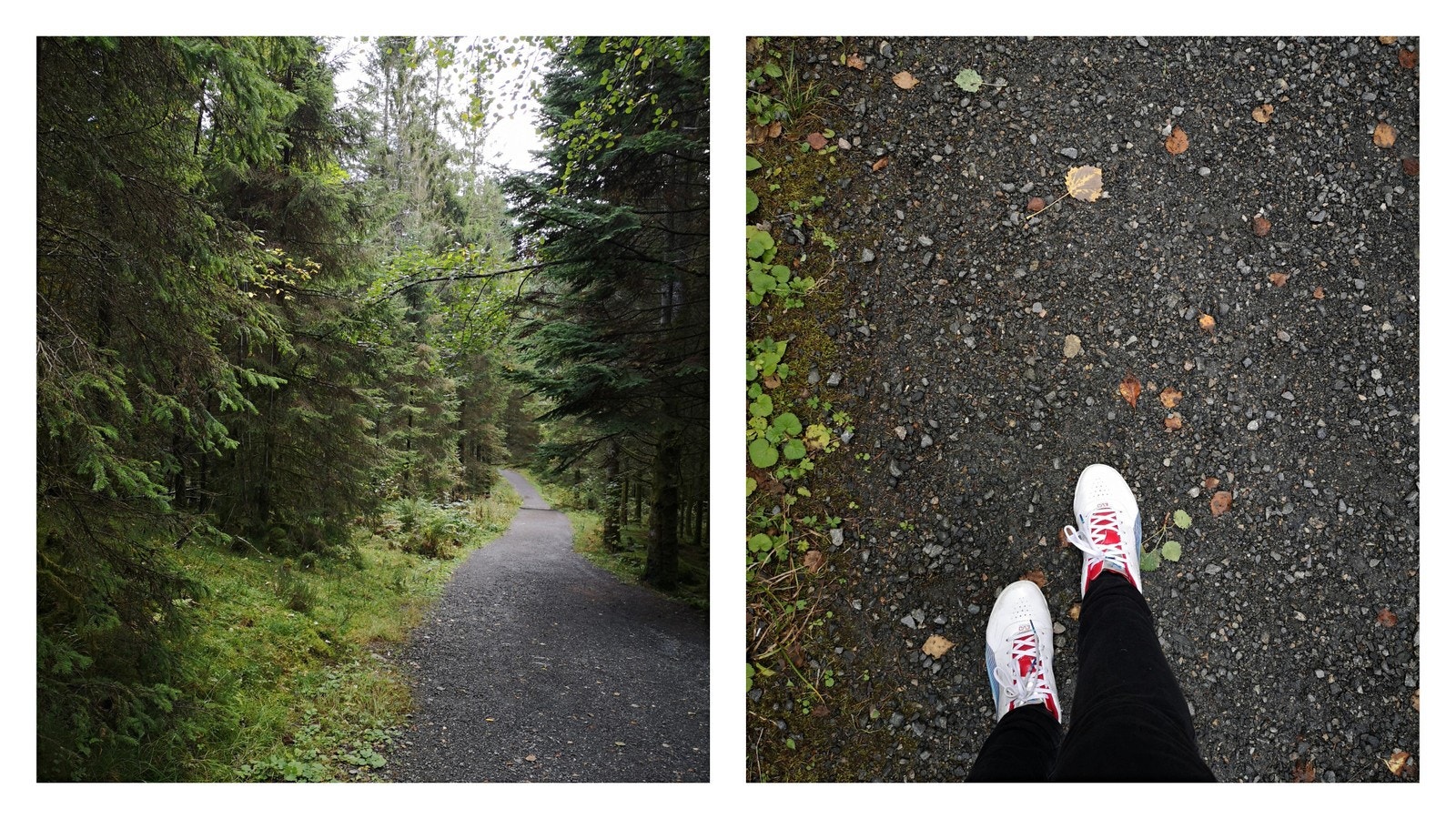 Fanafjellet Galleribilde