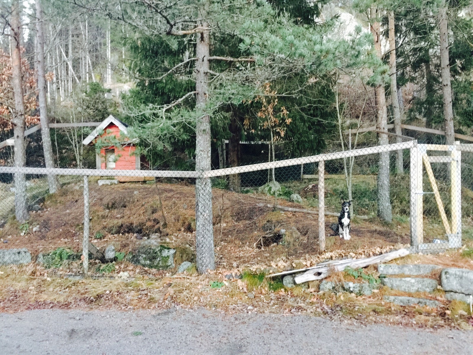 Hundegård ved siden av boligen Galleribilde