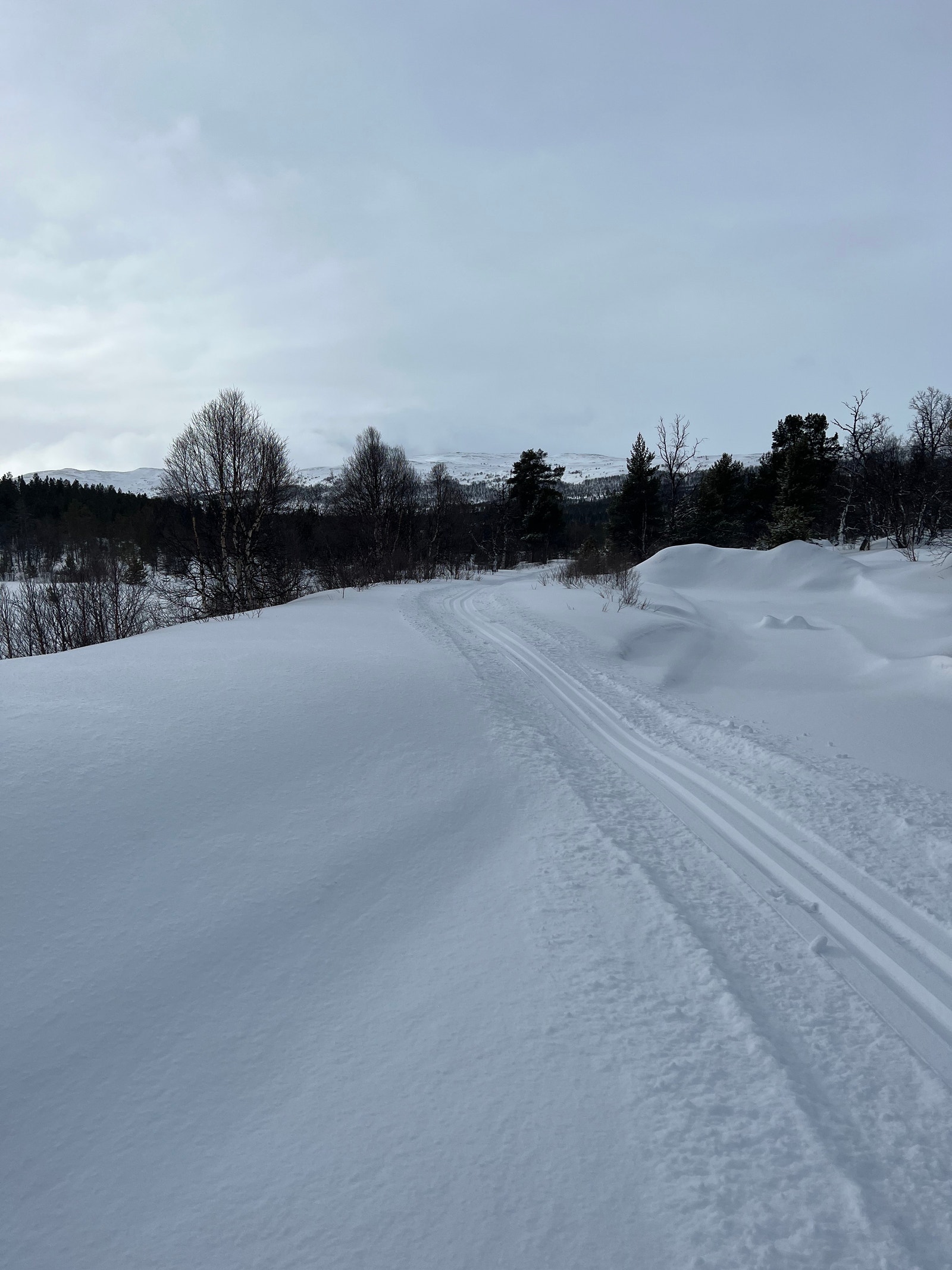 Bilde tatt 05.03.23. Galleribilde