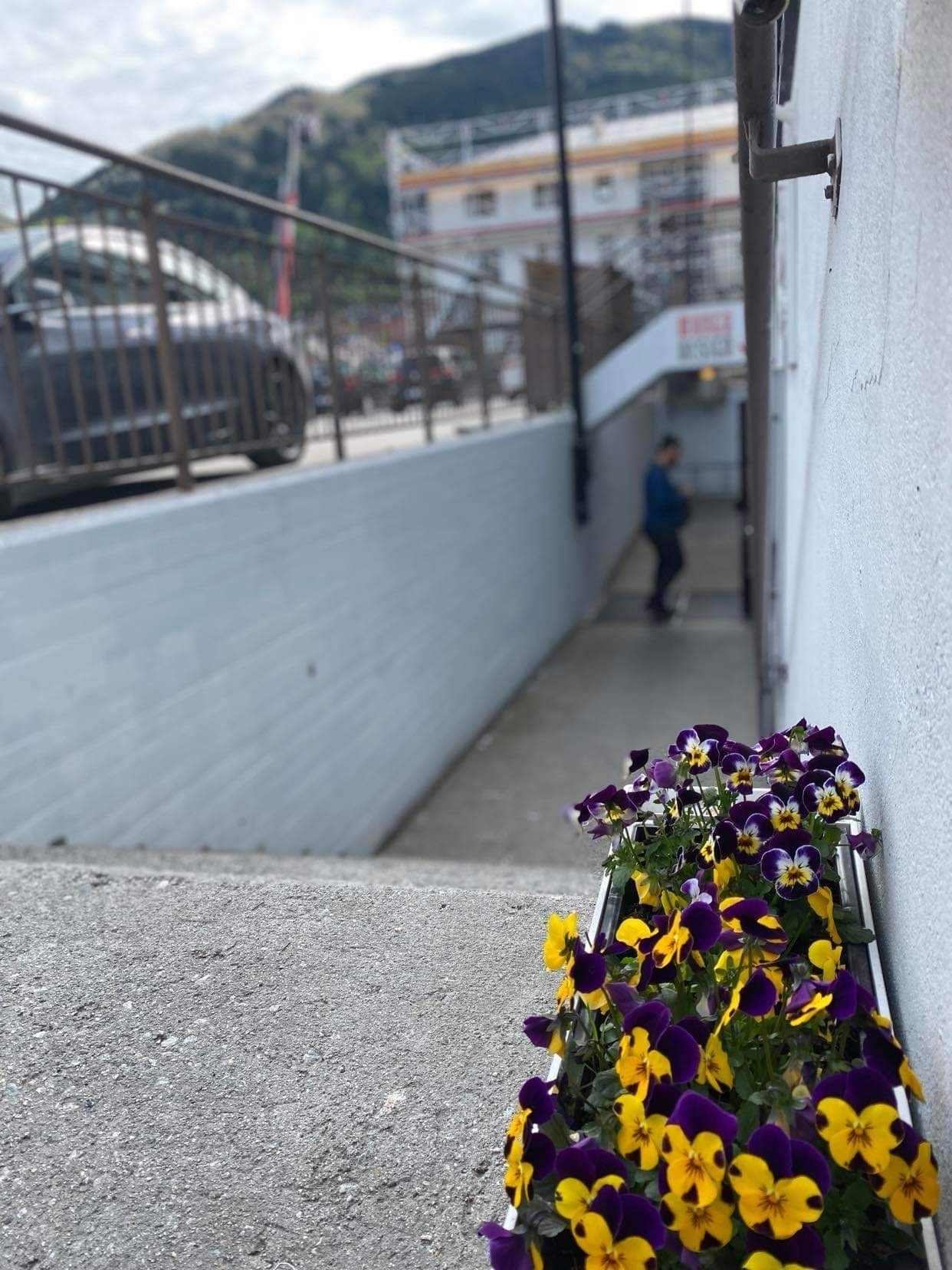 Hovudinngang, mindre trapp ned frå gateplan Galleribilde