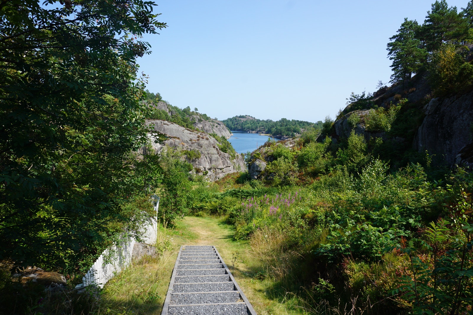 Sti ned til badestranden Galleribilde