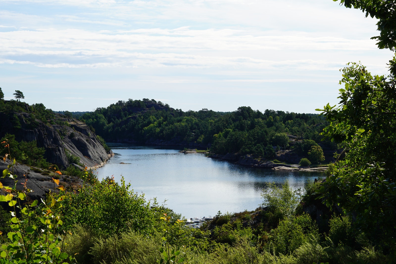 Fjorden Galleribilde