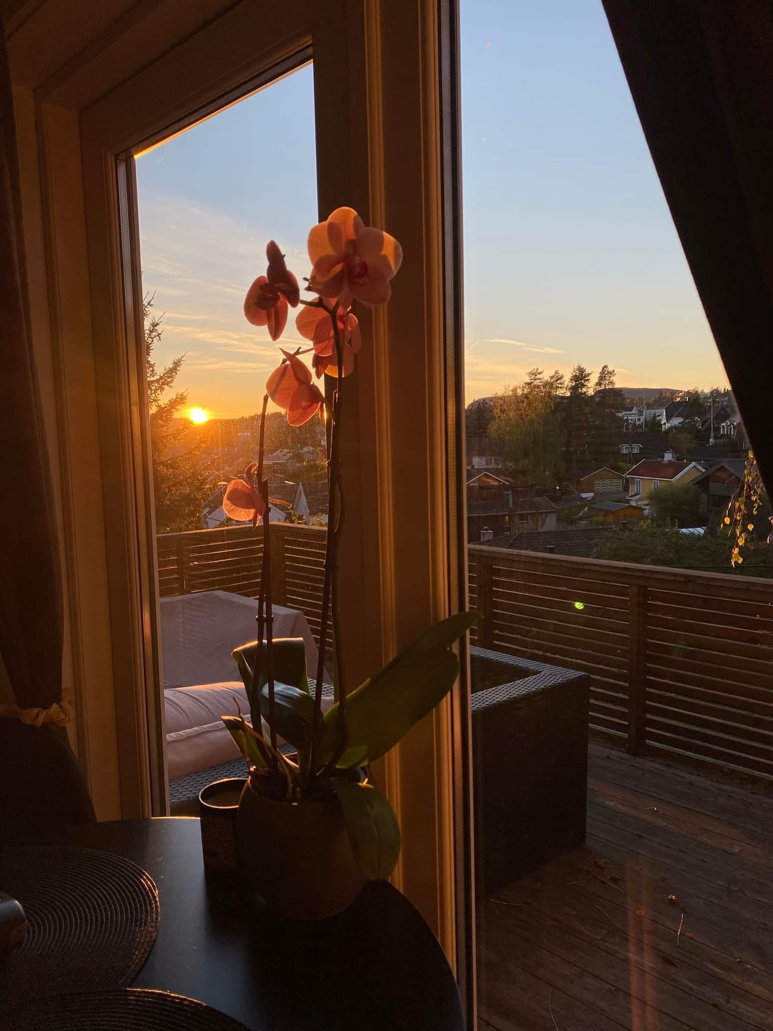 Kveldsol Galleribilde