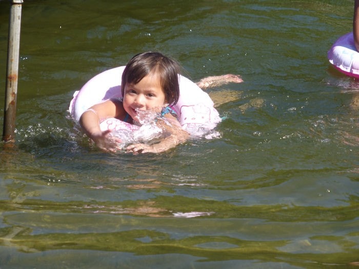 Kos i badedammen Galleribilde